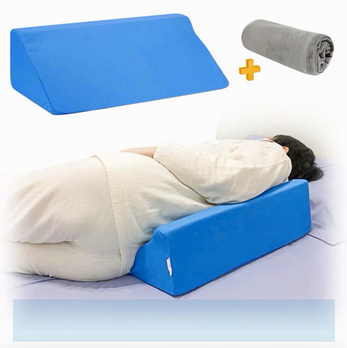 Npet blue bed - npet, pillow